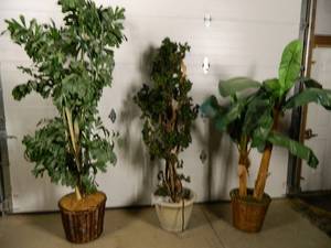 3 Artificial Plants