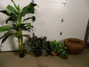 Artificial Plants and Planters