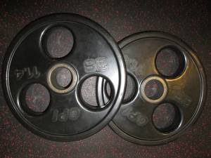 (2) 25# Weights...