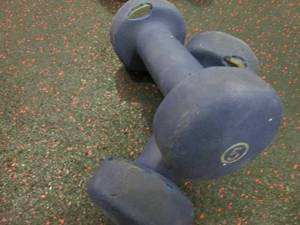 GP (2) 5# Weights...