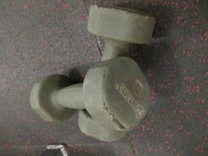 GP (2) 8# Weights...