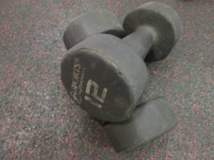 GP (2) 12# Weights...