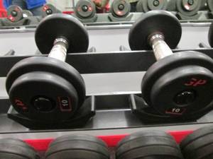 GP (2) 10# Weights...