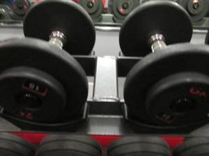 GP (2) 15# Weights...
