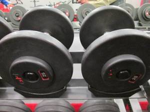 GP (2) 25# Weights...