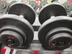 GP (2) 30# Weights...