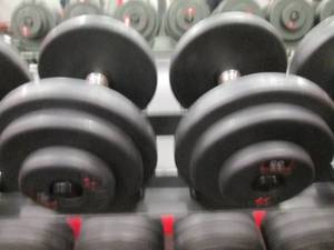 GP (2) 35# Weights...