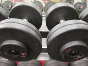 GP (2) 45# Weights...
