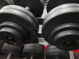 GP (2) 50# Weights...