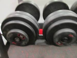 GP (2) 55# Weights...