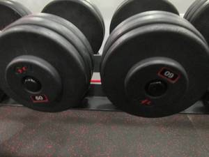GP (2) 60# Weights...