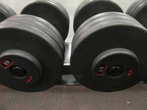 GP (2) 65# Weights...