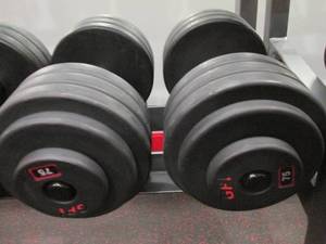 GP (2) 75# Weights...