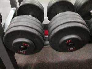 GP (2) 80# Weights...