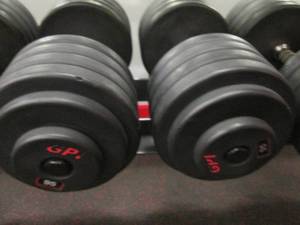 GP (2) 95# Weights...
