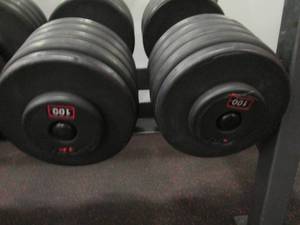 GP (2) 100# Weights...