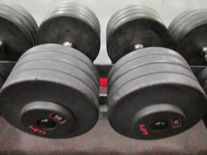 GP (2) 85# Weights...