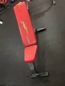 Cybex Adjustable Utility Bench Need...