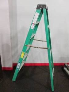 Werner 6 Ladder...