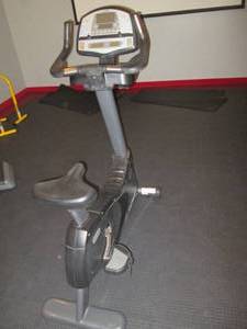 Cybex Cyclone (Model# 530C)...