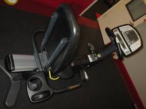 Cybex Cyclone (Model# 530R)...