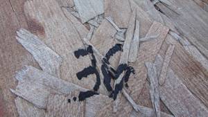 lot 36 image: Lot of (16) 1-12 x 18 x 16 Rim Board