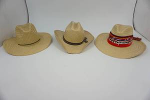 lot 27 image: 3 Straw Summit Hats - Size 7-18