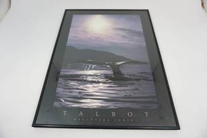 lot 47 image: Talbot Megaptera Sunset Framed Picture