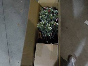 lot 88 image: Xmas Flocked Tree...