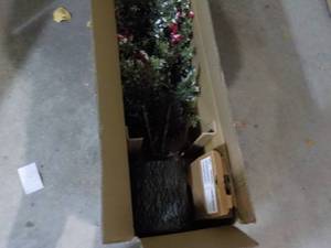 lot 89 image: Xmas Flocked Tree...