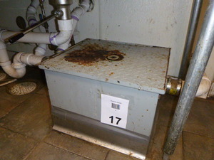 Light Commercial Grease Trap