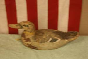 Decoy