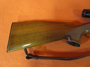 Remington 270 Win. Model 700 Rifle wTasco Scope