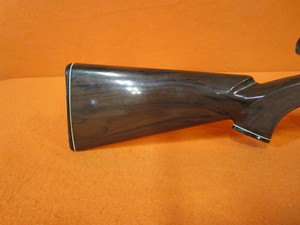 Remington .22 Weaver Rifle wScope