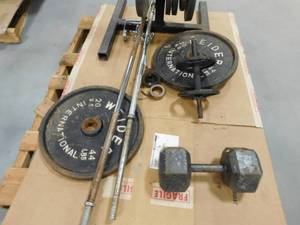 Lot of Fitness Weights