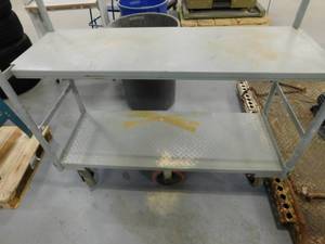 Rolling Cart - 50 x 17
