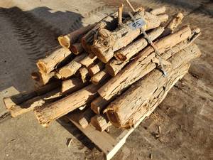 Cedar tree pieces