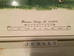 lot 107 image: Vintage Windsome Pinny Print Number 2159837