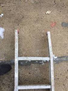lot 167 image: 16 Foot Extension Ladder