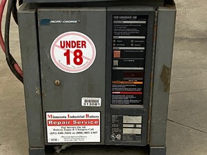 lot 21 image: Industrial FER Charger-100 Battery Charger