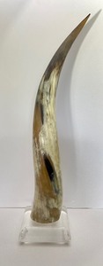 lot 1 image: Tall Vintage Lucite Mounted Steer Horn