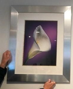 lot 33 image: Purple Floral Print w Custom Chrome Frame