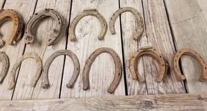 Assorted Sizes of Vintage Horse Shoes including 5 Pony Shoes