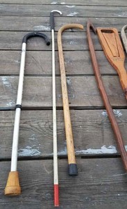 Collection of 11 Canes Adjustable Aluminum, Wood Canes including 1 Guest of Purina Research Farm Tour