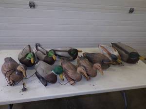 10 Duck Decoys