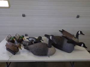 8 Duck and Geese Decoys
