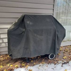 lot 386 image: Weber Gas Grill