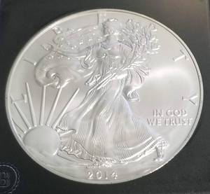2014 AMERICAN SILVER EAGLE 1 TROY OZ. .999 FINE SILVER BLACK SLAB