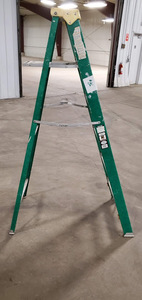 Davidson 6ft Fiberglass Step Ladder