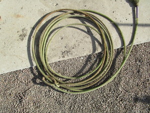 lot 47 image: Lariat, Whips, Feed Bucket